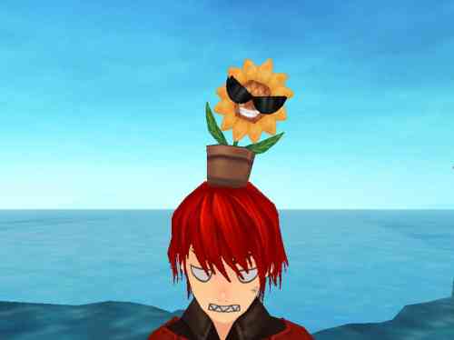 タルタロス、ロックヒマワリ