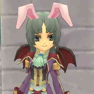 SP小悪魔の翼・黒&EXウサミミ・桃