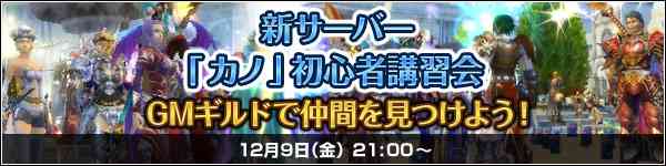 GMギルドに所属して仲間を見つけよう！