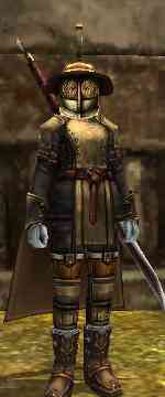 パンドラサーガ、NPC「指揮官マント譲渡係」画像