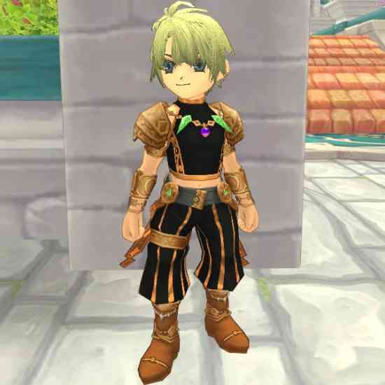 ファインディングネバーランドオンライン、闘士の服