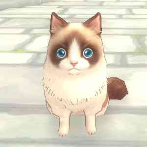 ファインディングネバーランドオンライン、ラグドール