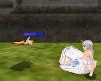 �}�X�^�[�I�u�G�s�b�N 5��ނ̖{�̐���@