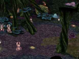 新マップ「スカラバホール」A