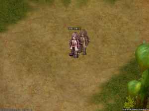 ラグナロクオンライン、影狼専用スキル「幻術-分身-」スクリーンショット