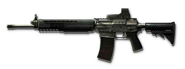 SIG556