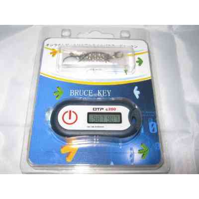 BRUCE KEY