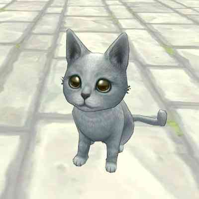 ロシアンブルー