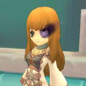 ファインディング・ネバーランド・オンライン、燃ゆる瞳・闇