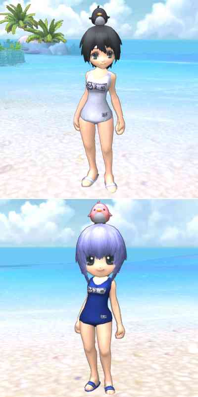 ファインディングネバーランドオンライン、スクール水着 女子生徒用