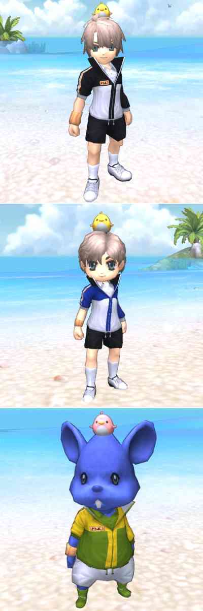 ファインディングネバーランドオンライン、短パンジャージ