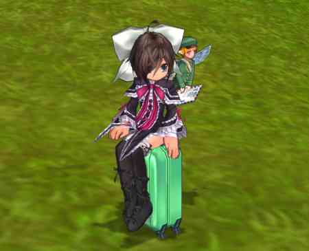 エミルクロニクルオンライン、ゴロ付スーツケース画像