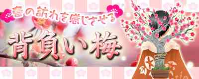 背負い梅バナー