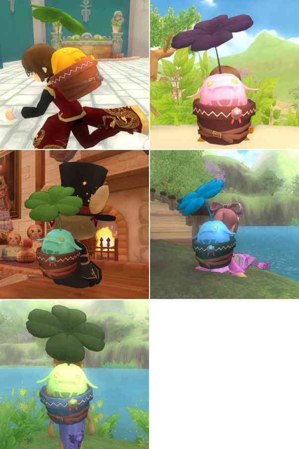 ヨチュノハ植木鉢画像