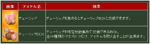 チューリップBOX画像