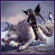 ドラゴンネスト ホワイトダイヤウルフの狼牌・スパルナの翼【黒】